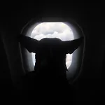 Adventure Alternative - - Arts-factory-experience - For Artists, Makers And Open Minds - Attention, We Are Not A And Are Not Adapted For Everybody - Read Host Warnings Before Reservation - Providence,be Asbl * Charleroi