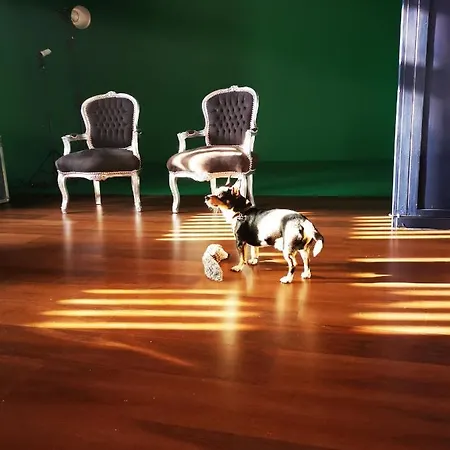 Adventure Alternative - - Arts-factory-experience - For Artists, Makers And Open Minds - Attention, We Are Not A And Are Not Adapted For Everybody - Read Host Warnings Before Reservation - Providence,be Asbl