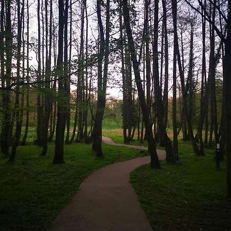 Kwatera prywatna Adventure Alternative - - Arts-factory-experience - For Artists, Makers And Open Minds - Attention, We Are Not A And Are Not Adapted For Everybody - Read Host Warnings Before Reservation - Providence,be Asbl Charleroi