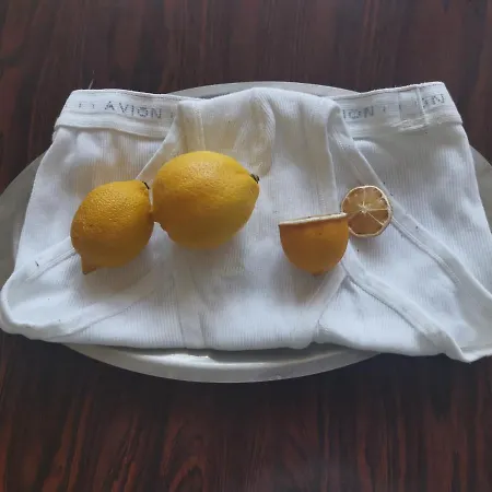 Adventure Alternative - - Arts-factory-experience - For Artists, Makers And Open Minds - Attention, We Are Not A And Are Not Adapted For Everybody - Read Host Warnings Before Reservation - Providence,be Asbl Charleroi