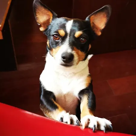 Adventure Alternative - - Arts-factory-experience - For Artists, Makers And Open Minds - Attention, We Are Not A And Are Not Adapted For Everybody - Read Host Warnings Before Reservation - Providence,be Asbl *