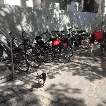 Adventure Alternative - - Arts-factory-experience - For Artists, Makers And Open Minds - Attention, We Are Not A And Are Not Adapted For Everybody - Read Host Warnings Before Reservation - Providence,be Asbl *