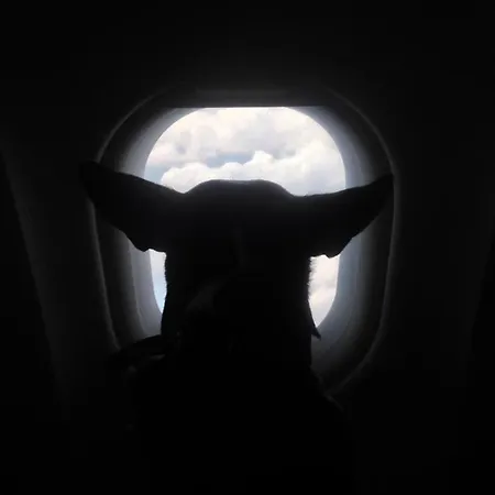 Adventure Alternative - - Arts-factory-experience - For Artists, Makers And Open Minds - Attention, We Are Not A And Are Not Adapted For Everybody - Read Host Warnings Before Reservation - Providence,be Asbl * Charleroi