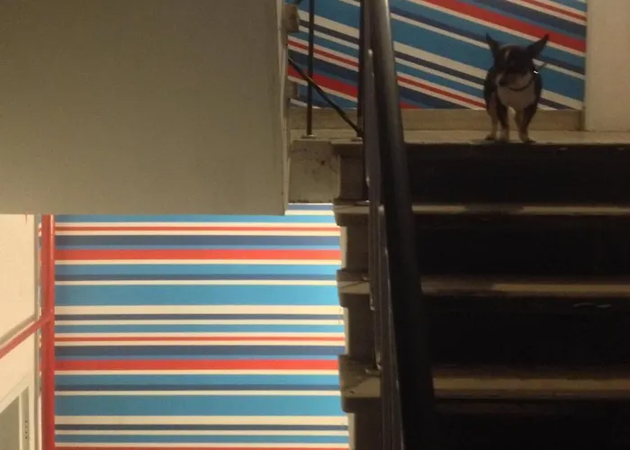 Adventure Alternative - - Arts-factory-experience - For Artists, Makers And Open Minds - Attention, We Are Not A And Are Not Adapted For Everybody - Read Host Warnings Before Reservation - Providence,be Asbl