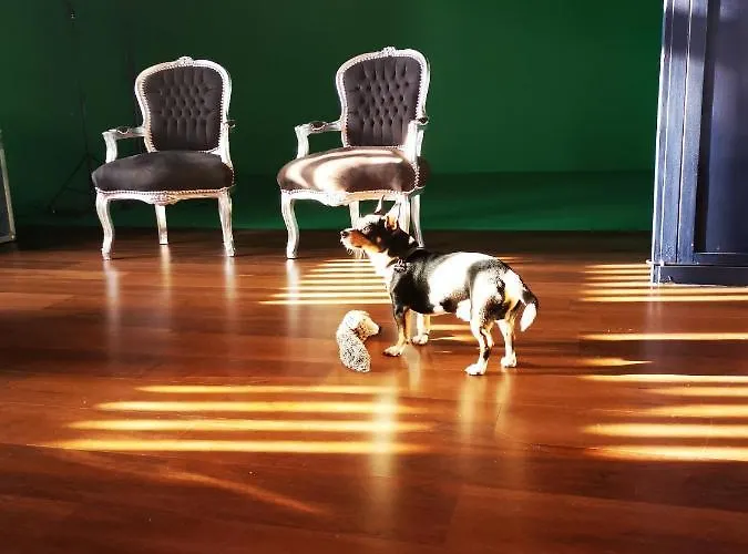 Adventure Alternative - - Arts-factory-experience - For Artists, Makers And Open Minds - Attention, We Are Not A And Are Not Adapted For Everybody - Read Host Warnings Before Reservation - Providence,be Asbl