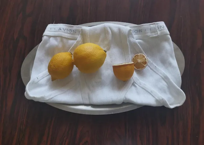 Adventure Alternative - - Arts-factory-experience - For Artists, Makers And Open Minds - Attention, We Are Not A And Are Not Adapted For Everybody - Read Host Warnings Before Reservation - Providence,be Asbl Charleroi