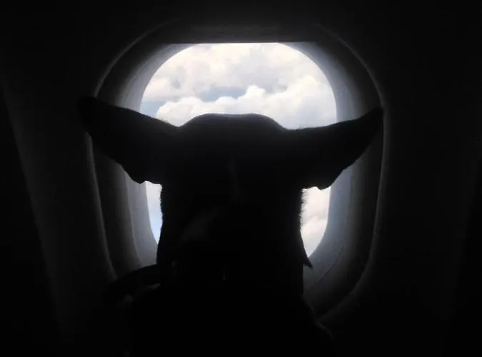 Adventure Alternative - - Arts-factory-experience - For Artists, Makers And Open Minds - Attention, We Are Not A And Are Not Adapted For Everybody - Read Host Warnings Before Reservation - Providence,be Asbl * Charleroi